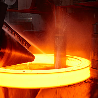 Ring roll Forging